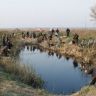 Russian_fishing_16