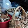 DSC00215