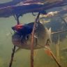 underwater1576