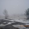DSCN6928