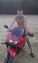 Max 76rus