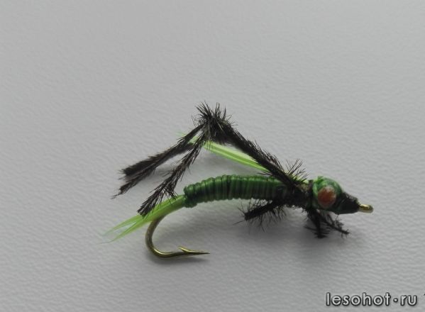 IMG_20200729_072739.jpg