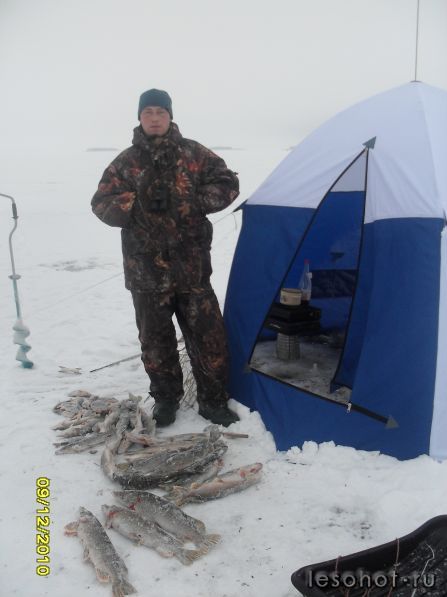 SDC10572.JPG