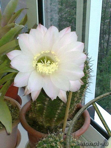 20052012062.jpg