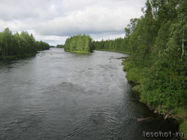 IMG_0501.JPG