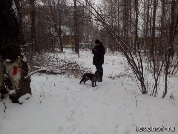 IMG_20160106_140200[1].jpg