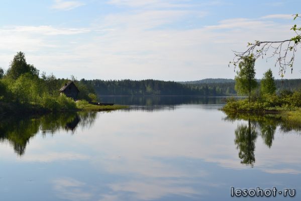 DSC_0721.JPG
