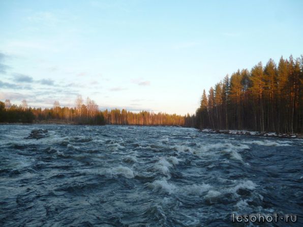 photo_00011.jpg