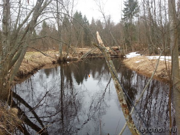 20140325_170000.jpg