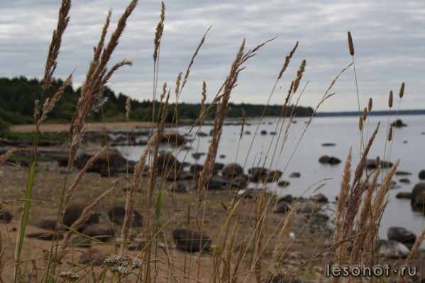 IMG_3533.JPG