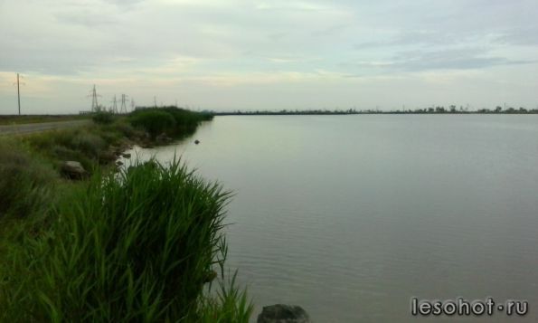 IMG_20140617_070826.jpg
