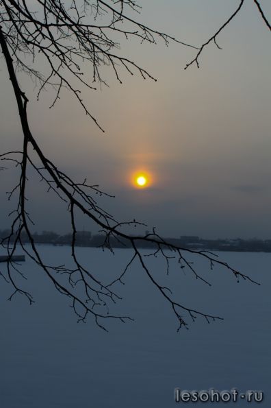 IMG_9473.jpg