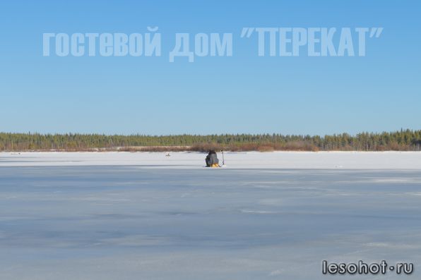 photo_00016.jpg