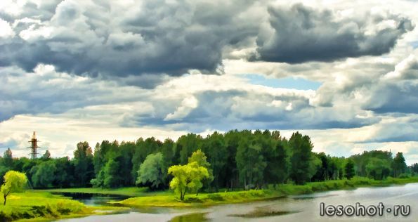 ������������ ����� ,���������