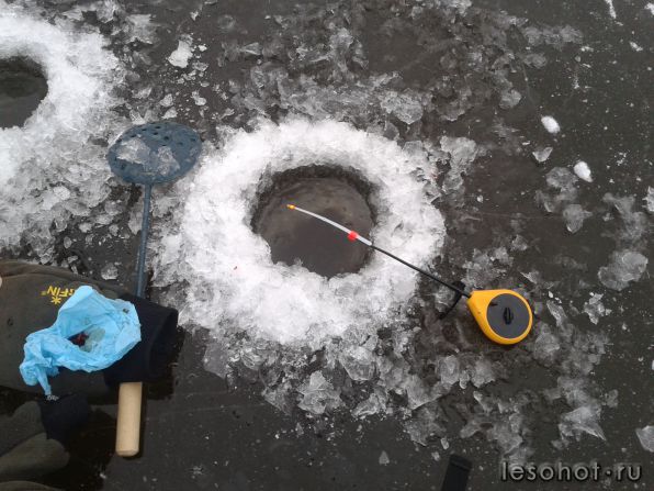 20141123_141754.jpg