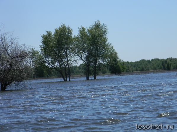 DSCN9843.JPG