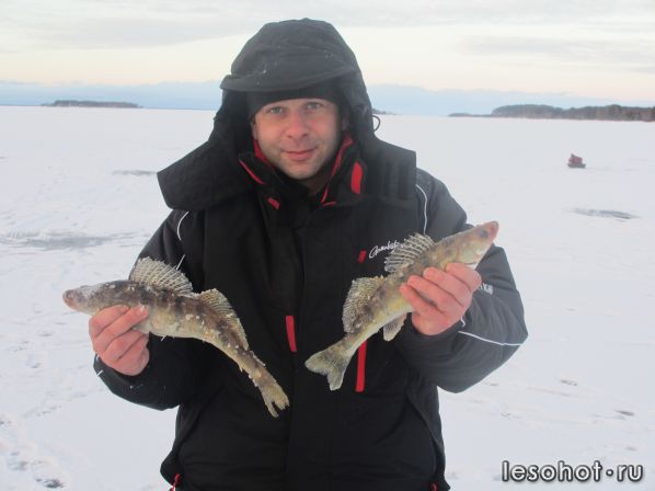 IMG_1558.JPG