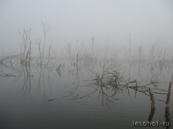  284.jpg