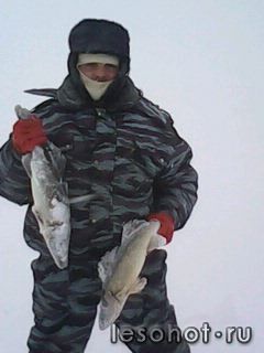 IMG0011A.jpg