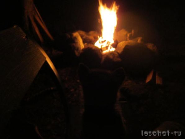 IMG_0545.JPG