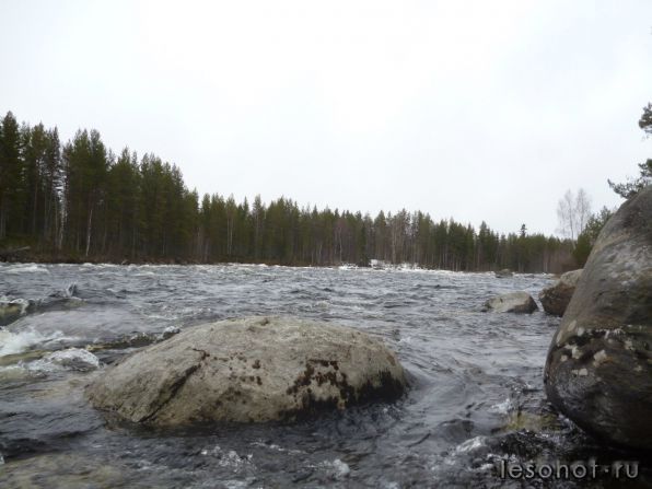 photo_00014.jpg