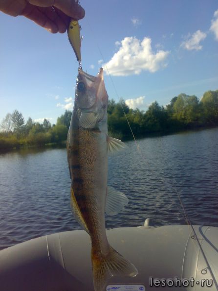 270720121900.jpg