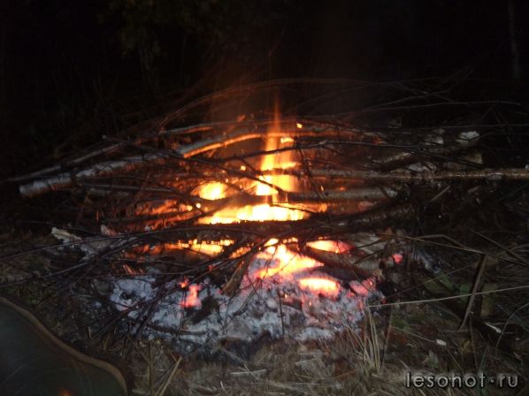 DSCF1086.JPG