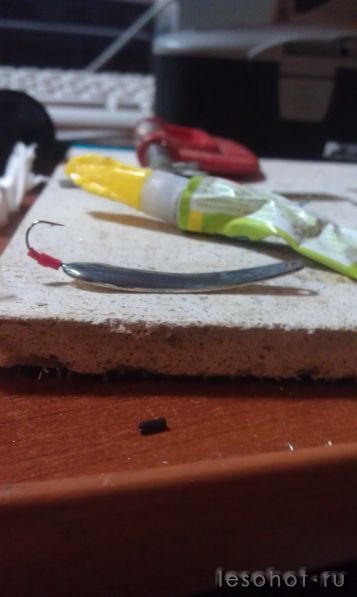 IMAG0286.jpg