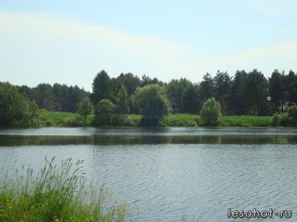 DSC00960.JPG