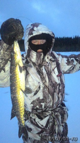 photo_00142.jpg