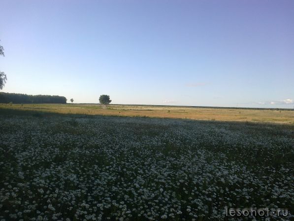 30062012184.jpg