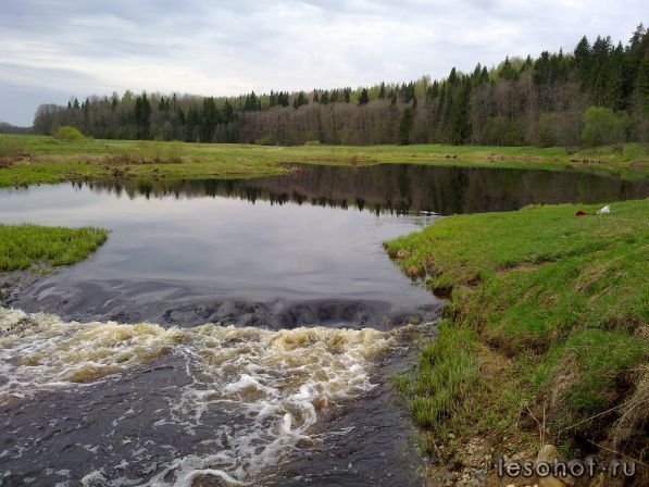 08052011166.jpg