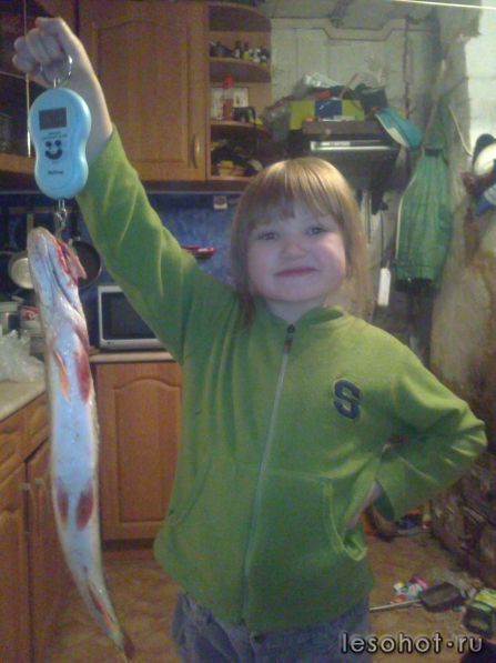 07122012161.JPG
