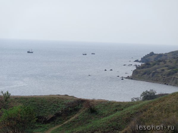 DSC00007.JPG