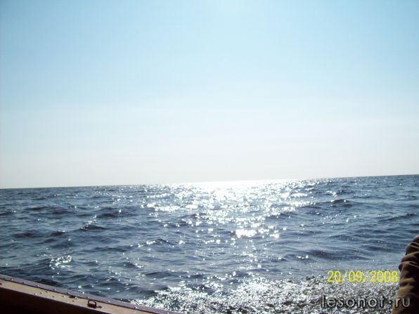 100_0599.jpg