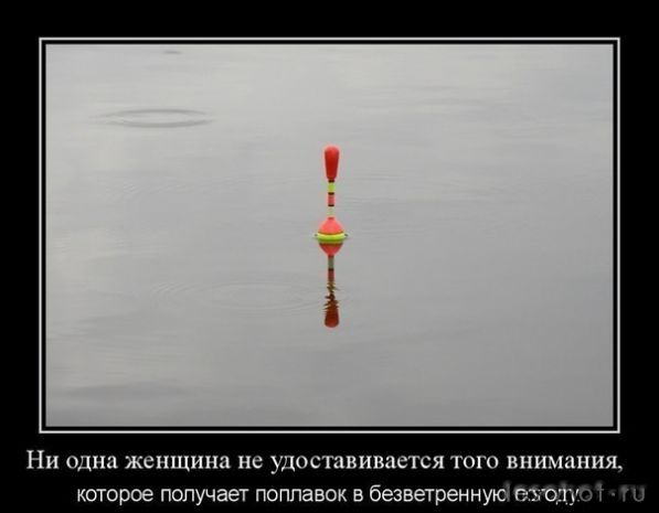 ������ �����