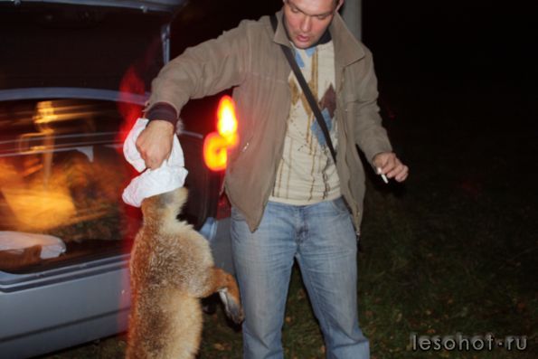 ������� 324.jpg