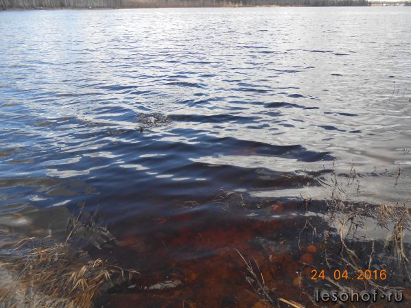 DSCN4938.JPG