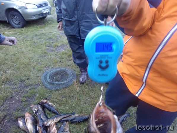 IMG_20170811_204914.jpg