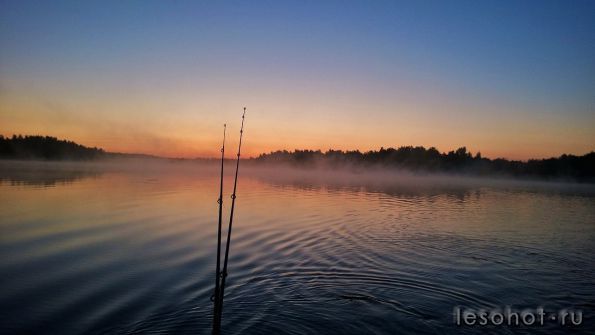 WP_20140731_002.jpg