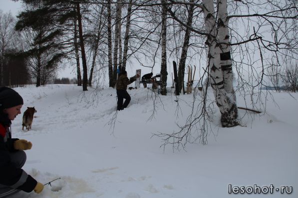 IMG_6556.JPG