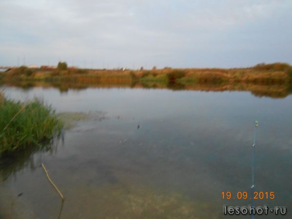 DSCN4080.JPG