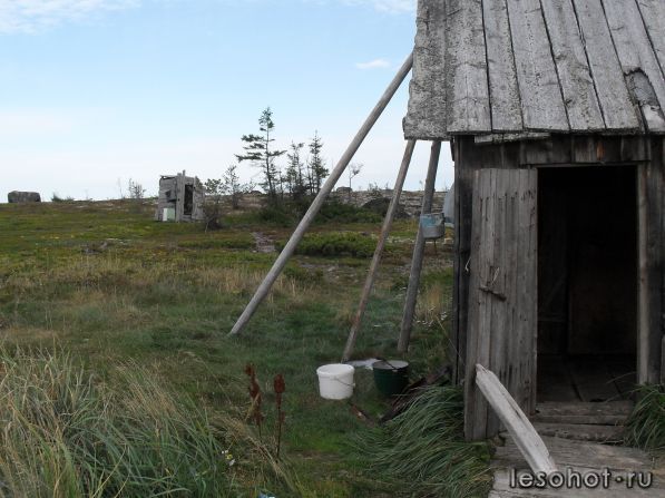 SDC10012.JPG