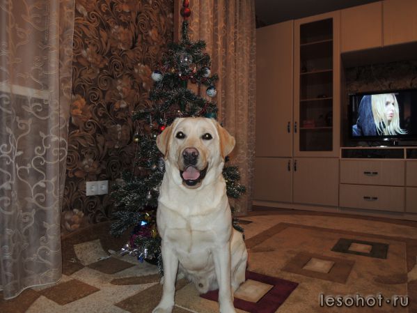 ����