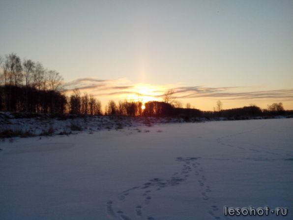 IMG_20140118_101701.jpg