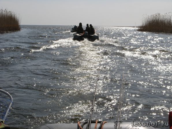 IMG_2482.JPG