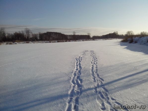 IMG_20140118_135155.jpg
