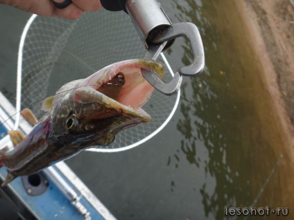 �������� 19.09.14 (2).JPG