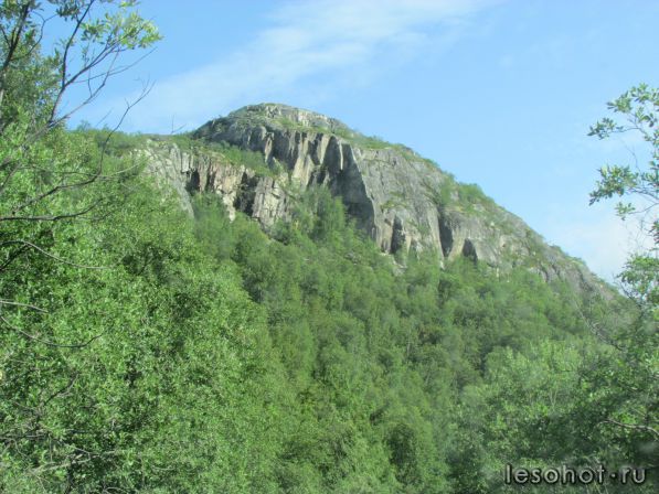 IMG_0655.JPG