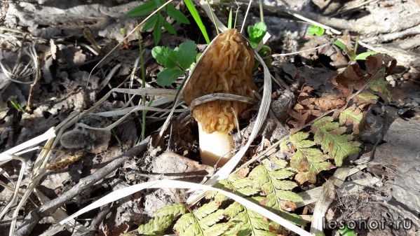 20180509_091215.jpg